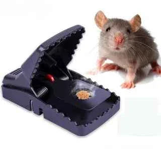 Rat Trap Mouse - BD Drop