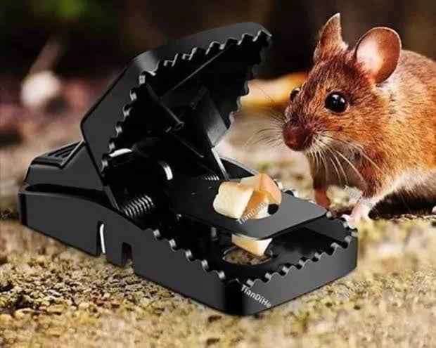 Rat Trap Mouse - BD Drop
